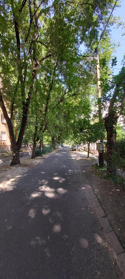 Gabrielle2 Apartman Debrecen Eksteriør bilde